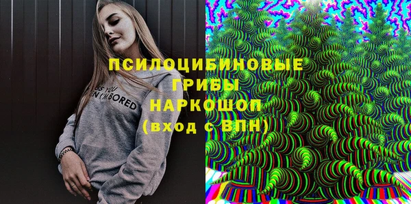 мдпв Алзамай
